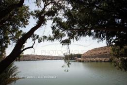 Image du Maroc Professionnelle de  Le Barrage Machraa Hamadi dont la capacité est de 42 Millions de m3, est construit sur l'Oued Moulouya, il permet, depuis 1956, d'approvisionner la région et d'irriguer les terres de cultures, ce barrage fournit en eau potable les ville de Nador, Oujda, il permet également l'approvisionnement des centre de Taourirte et El Aïoun Sidi Mellouk. Samedi 1er octobre 2005. (Photo / Abdeljalil Bounhar) 